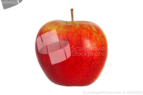 Image of Red apple on white