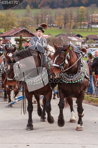 Image of Hundham, Germany, Bavaria 04.11.2017: Leonhardi ride in the Bavarian Hundham