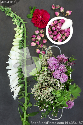 Image of Herbs and Flowers for Herbal Medicine 