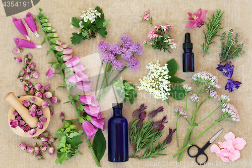 Image of Preparing Medicinal Flowers and Herbs