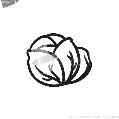 Image of Cabbage sketch icon.