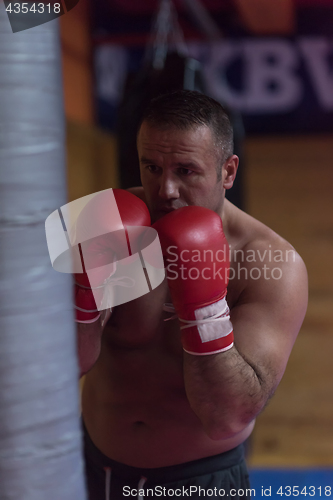 Image of kick boxer training on a punching bag