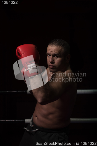 Image of professional kickboxer in the training ring