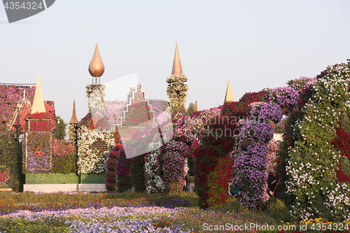 Image of Dubai miracle garden