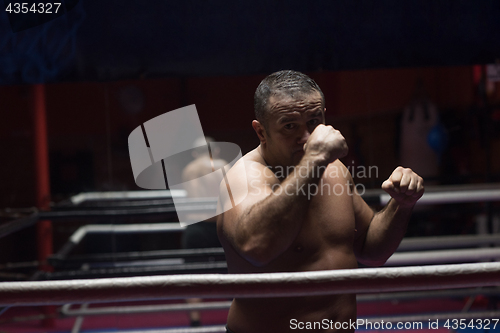 Image of professional kickboxer in the training ring