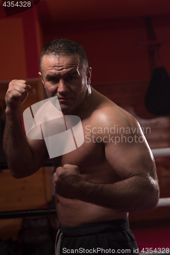 Image of professional kickboxer in the training ring