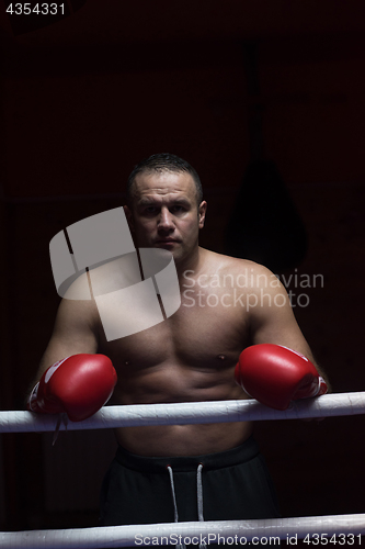 Image of portrait of muscular professional kickboxer