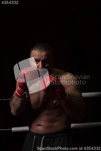 Image of professional kickboxer in the training ring