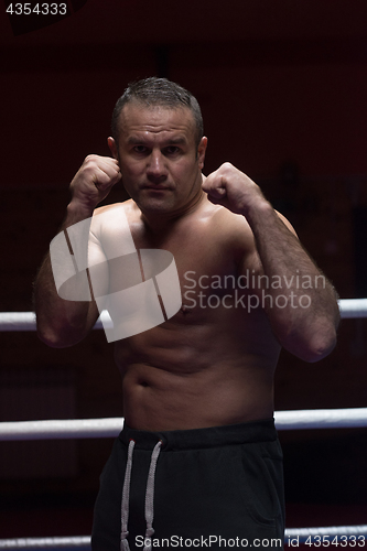 Image of professional kickboxer in the training ring