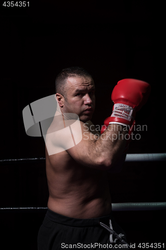 Image of professional kickboxer in the training ring