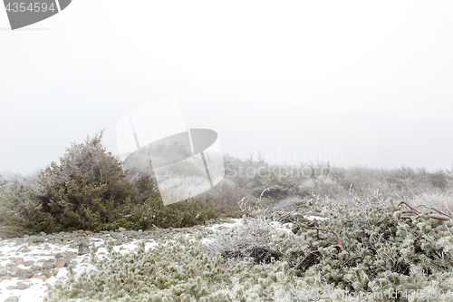 Image of Foggy winter landscape