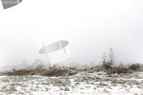 Image of Foggy winter landscape