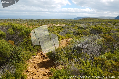 Image of Landscape in Tasmania