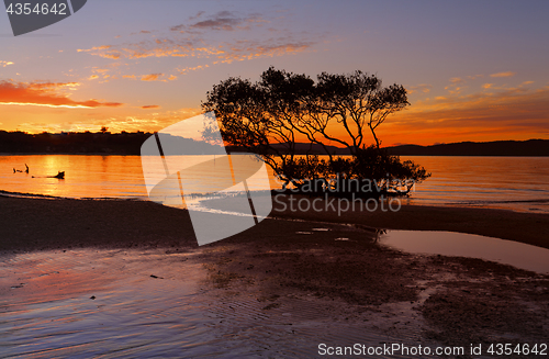 Image of Sunset Salamander Bay