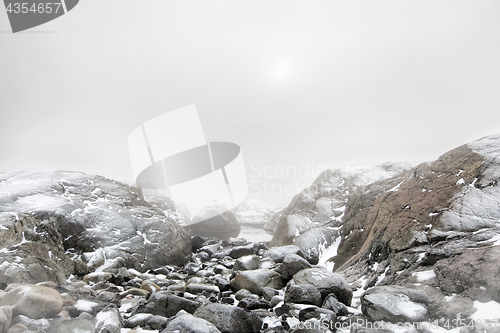 Image of Foggy winter landscape