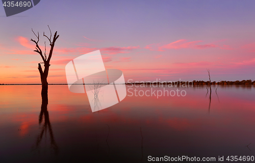 Image of Submerged trees in a lake at sunset