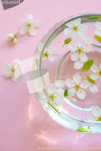 Image of White flowers in bowl of water