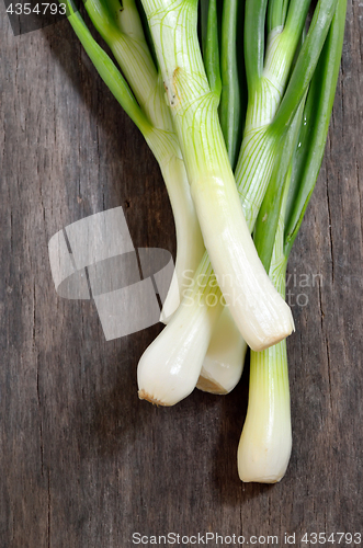 Image of Spring fresh green onion