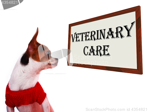 Image of Veterinary Care Sign Showing Pet Clinic Or Hospital