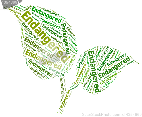 Image of Endangered Word Shows At Risk And Endangers