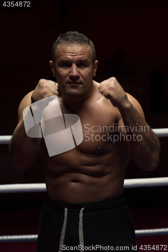 Image of professional kickboxer in the training ring