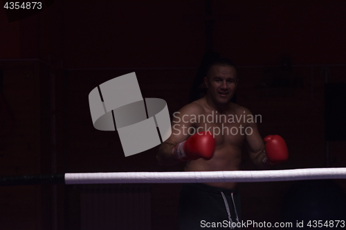 Image of portrait of muscular professional kickboxer