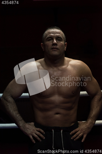 Image of portrait of muscular professional kickboxer