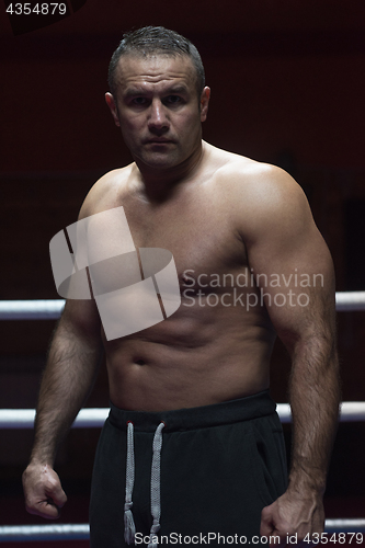 Image of portrait of muscular professional kickboxer