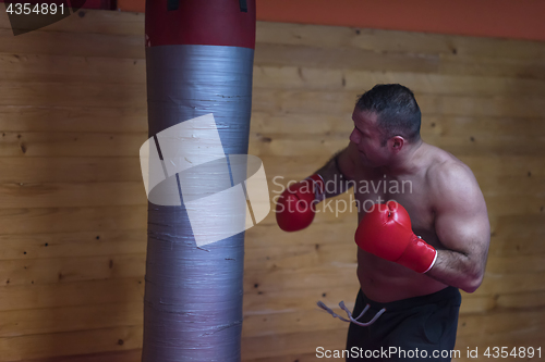 Image of kick boxer training on a punching bag