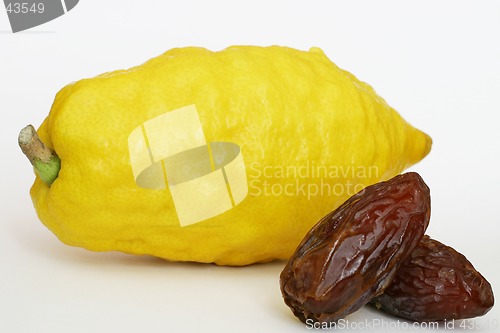 Image of Jewish Citron & dates