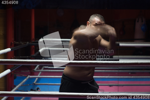 Image of professional kickboxer in the training ring