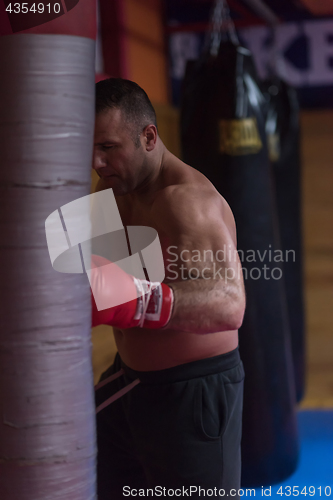 Image of kick boxer training on a punching bag