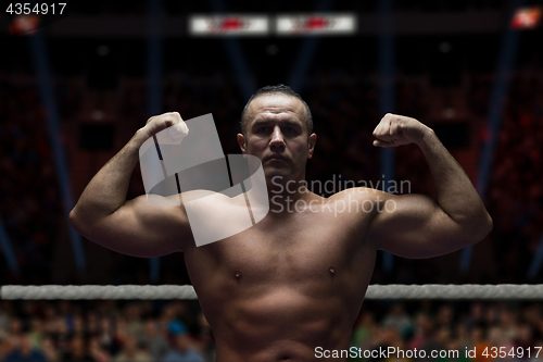 Image of professional kickboxer in the training ring