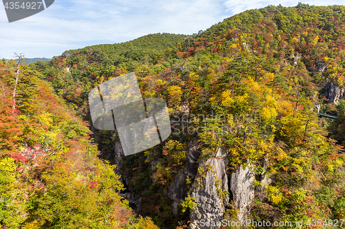Image of Naruko canyon with autumn foliage