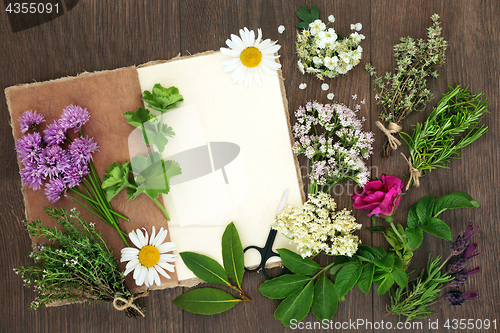 Image of Herbs for Herbal Medicine