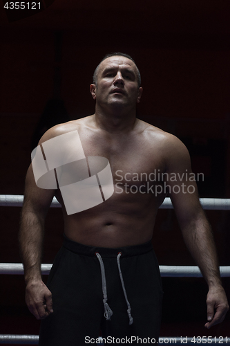 Image of portrait of muscular professional kickboxer