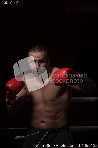 Image of professional kickboxer in the training ring