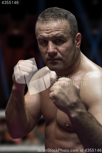 Image of professional kickboxer in the training ring