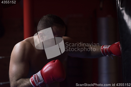 Image of kick boxer training on a punching bag