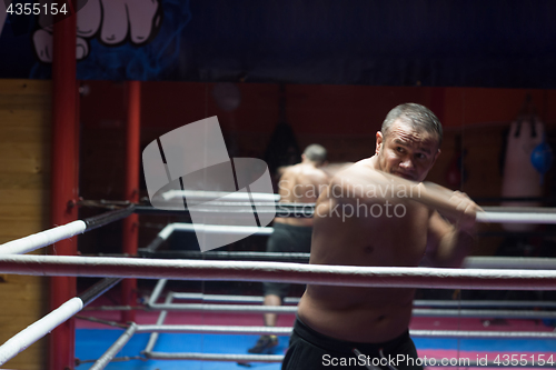 Image of professional kickboxer in the training ring