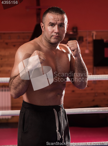 Image of professional kickboxer in the training ring