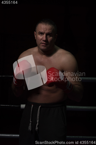 Image of professional kickboxer in the training ring