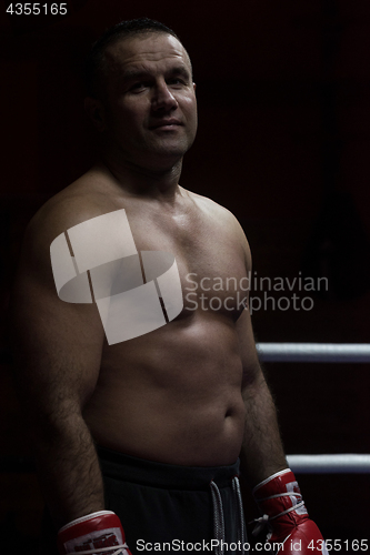 Image of portrait of muscular professional kickboxer