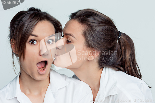 Image of Studio portrait of female twins