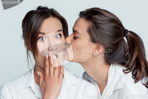 Image of Studio portrait of female twins