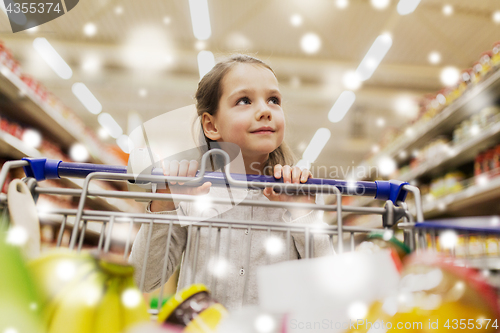 Image of girl with food in shopping cart at grocery store