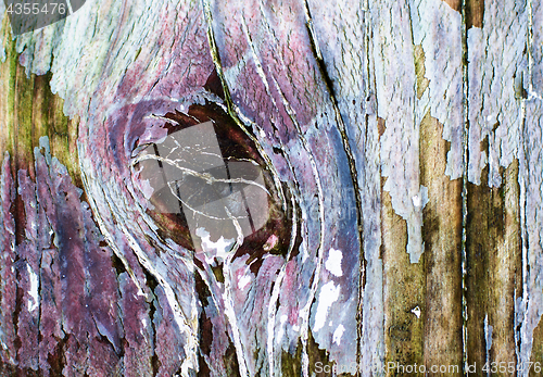 Image of Cracked Wooden Background