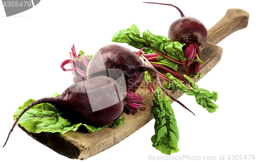 Image of Fresh Young Beet