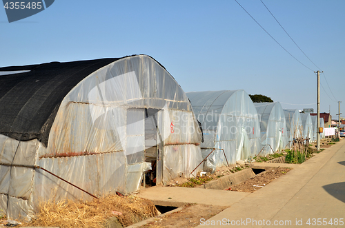 Image of Large greenhouse for plants in the autumn