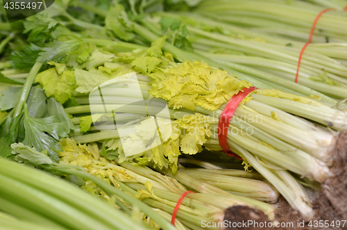 Image of Bunch of Chinese celery 